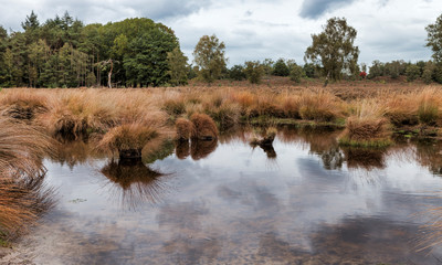 national park de sprengen in holland