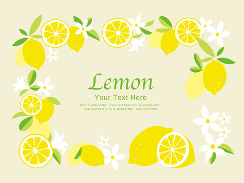 レモンのフレームイラスト Stock Vector Adobe Stock