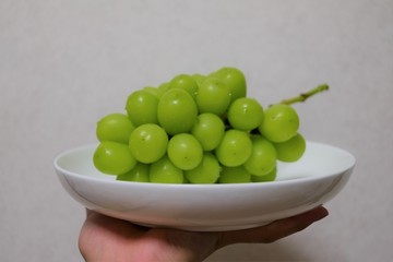 シャインマスカット