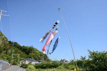 高く泳ぐ
