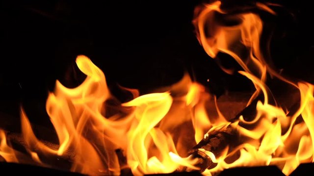 Burning fire. Bonfire. Closeup of flames burning on black background, slow motion