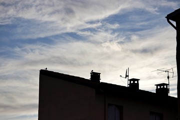 Toiture oiseaux