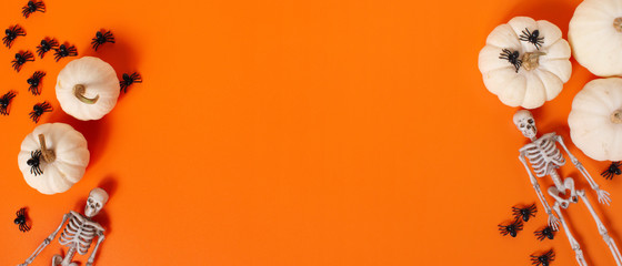 Halloween festive background with pumpkins, spiders and skeletons