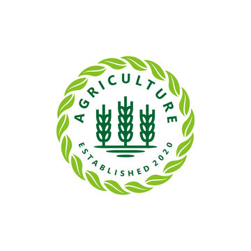 My growing farming wheat grain farm vintage logo design, farmer field seeds logo