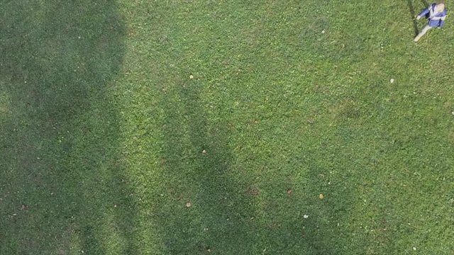Woman and playful dog on a meadow aerial view