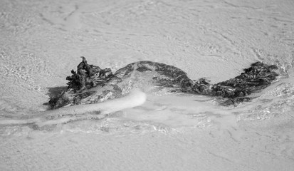 Rope on beach black and white