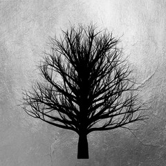 Tree without leaves silhouette isolated on shiny silver background. Creative abstract.