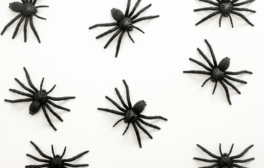 Halloween autumn holiday background with decorative black spiders against white.