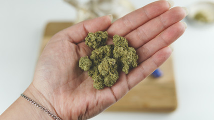 Naklejka na ściany i meble Close-up of female hand holding medical marijuana buds. Smoking cannabis
