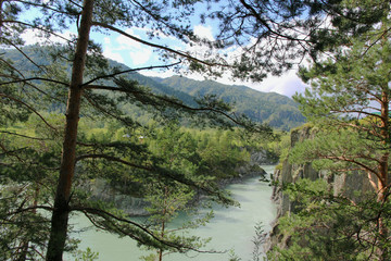 Fototapeta na wymiar Landscape. Forest, river, mountains, plateau, Siberian taiga, blue sky with clouds, Altai, travel.