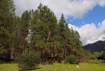 Fototapeta na wymiar Landscape. Forest, river, mountains, plateau, Siberian taiga, blue sky with clouds, Altai, travel.