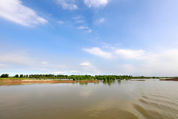 swift river in nature