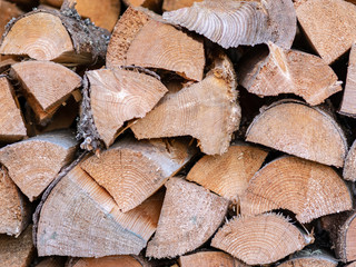 picture with wood texture, suitable for background