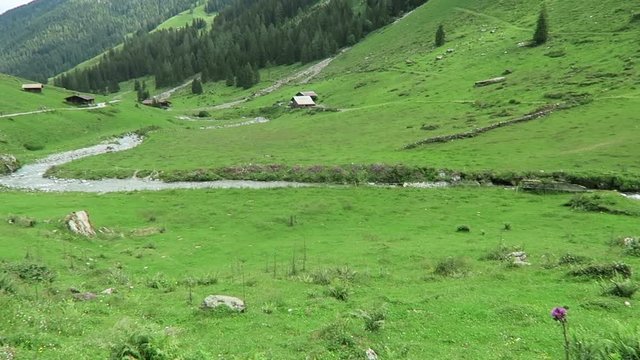 Meadow and traditional wooden farm houses at Zillertal valley in Tirol Austria.