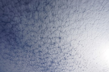 あたたかそうな質感の一面の雲