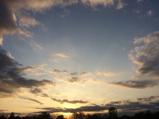 dramatic sunset over the forest