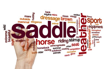 Saddle word cloud