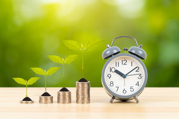 Coin stack with growing leaves and alarm clock on wooden desk  on green tree background, time for...