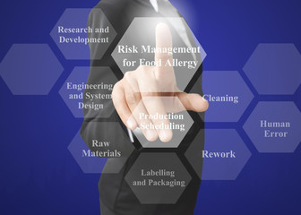 businesswoman showing presentation Principles for Risk Management Processes concept for use in training.