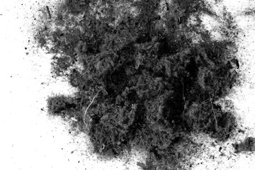 Black trash, dust, dirt isolated on a white background closeup. texture of garbage from a vacuum cleaner