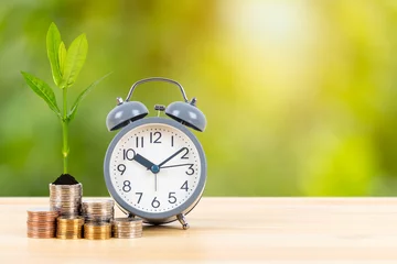 Fotobehang Coin stack with growing leaves and alarm clock on wooden desk  on green tree background, time for saving concept © wirojsid