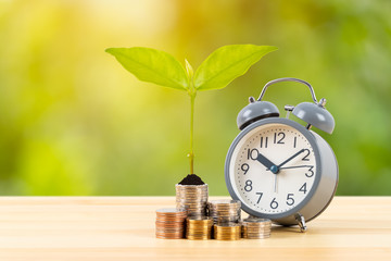 Coin stack with growing leaves and alarm clock on wooden desk  on green tree background, time for...