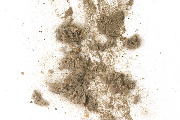 Trash, dust, dirt isolated on a white background closeup. texture of garbage from a vacuum cleaner