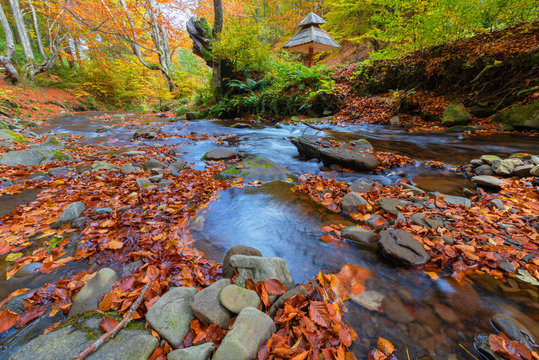 Picture of autumn Carpathian forest with spring water and waterfall, strewn with yellow and red leaves and sunlight through the foliage of trees.