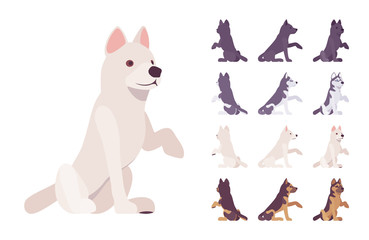 Black, White dog, Husky, Shepherd sitting set. Pet, family companion, home guarding, farm or police security breed. Vector flat style cartoon illustration isolated, white background, different views