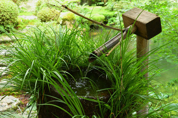 Fototapeta na wymiar Japanese garden, Kyoto Japan