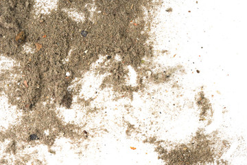 Trash, dust, dirt isolated on a white background closeup. texture of garbage from a vacuum cleaner