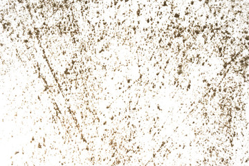 Trash, dust, dirt isolated on a white background closeup. texture of garbage from a vacuum cleaner
