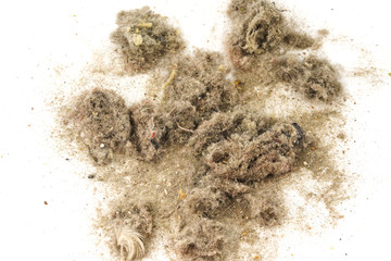 Trash, dust, dirt isolated on a white background closeup. texture of garbage from a vacuum cleaner