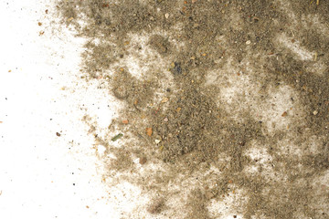 Trash, dust, dirt isolated on a white background closeup. texture of garbage from a vacuum cleaner