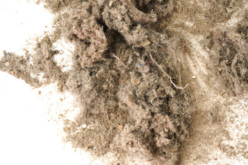Trash, dust, dirt isolated on a white background closeup. texture of garbage from a vacuum cleaner