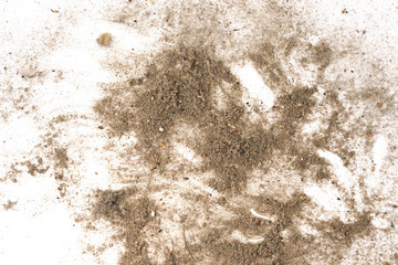 Trash, dust, dirt isolated on a white background closeup. texture of garbage from a vacuum cleaner