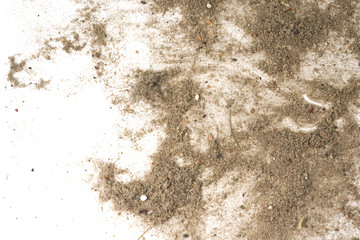 Trash, dust, dirt isolated on a white background closeup. texture of garbage from a vacuum cleaner
