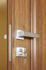 metal door handle and lock on wooden door