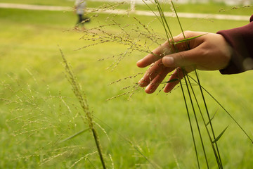 hand grabbed the grass in the field