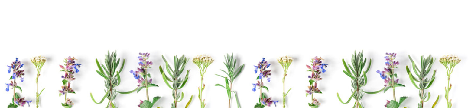 Alternative Medicine. Medicinal Herbs Lavender, Catnip, Yarrow On A White Background. Top View, Copy Space, Banner.