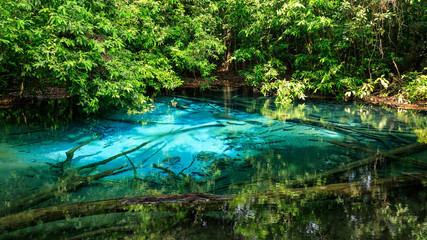 Blue Pool, turquoise crystal clear spring in middle of forest, Krabi, Thailand