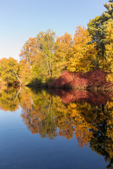 autumn reflection in the water