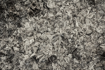 The gray background or texture is represented as ashes from burnt autumn leaves. Horizontal background, selective focus.