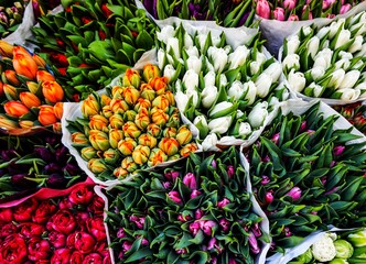 tulips in the market