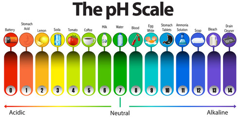 The pH scale on white background