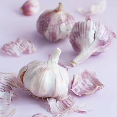 Fresh garlic on a pastel background