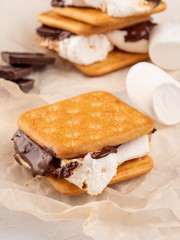 S'more on a gray surface with flowing chocolate.