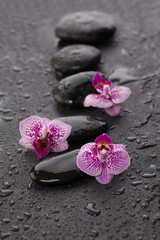 Fototapeta na wymiar Wet zen stones and flowers on black background