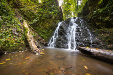 The Waterfall in Forest
