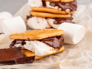 S'more on a gray surface with flowing chocolate.